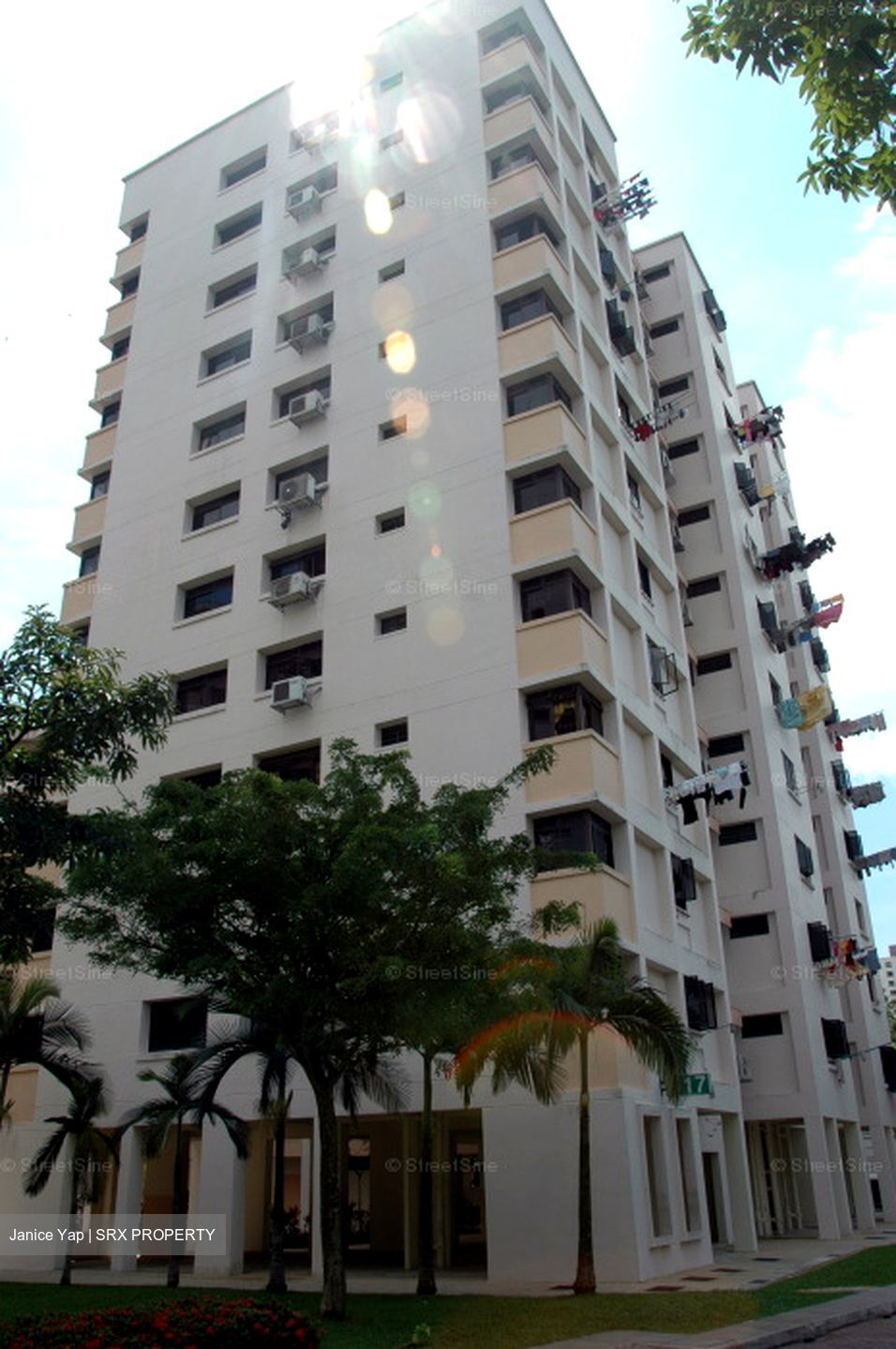 Blk 517 Pangshan Valley (Bukit Panjang), HDB Executive #606817011